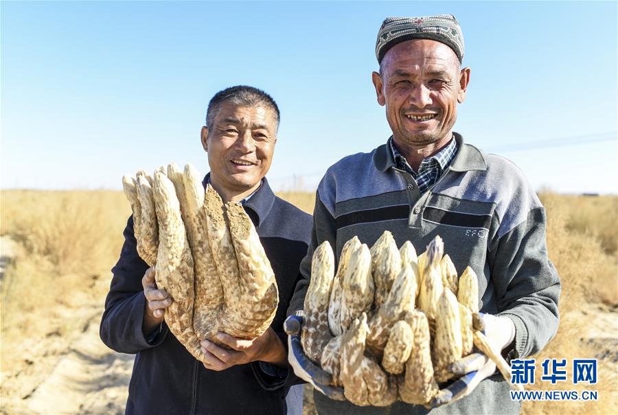 （新华全媒头条·图文互动）（9）大漠小城的绝地反击