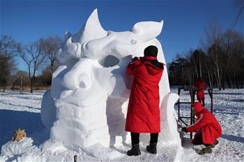 全国雪雕赛：巧夺天工展技艺